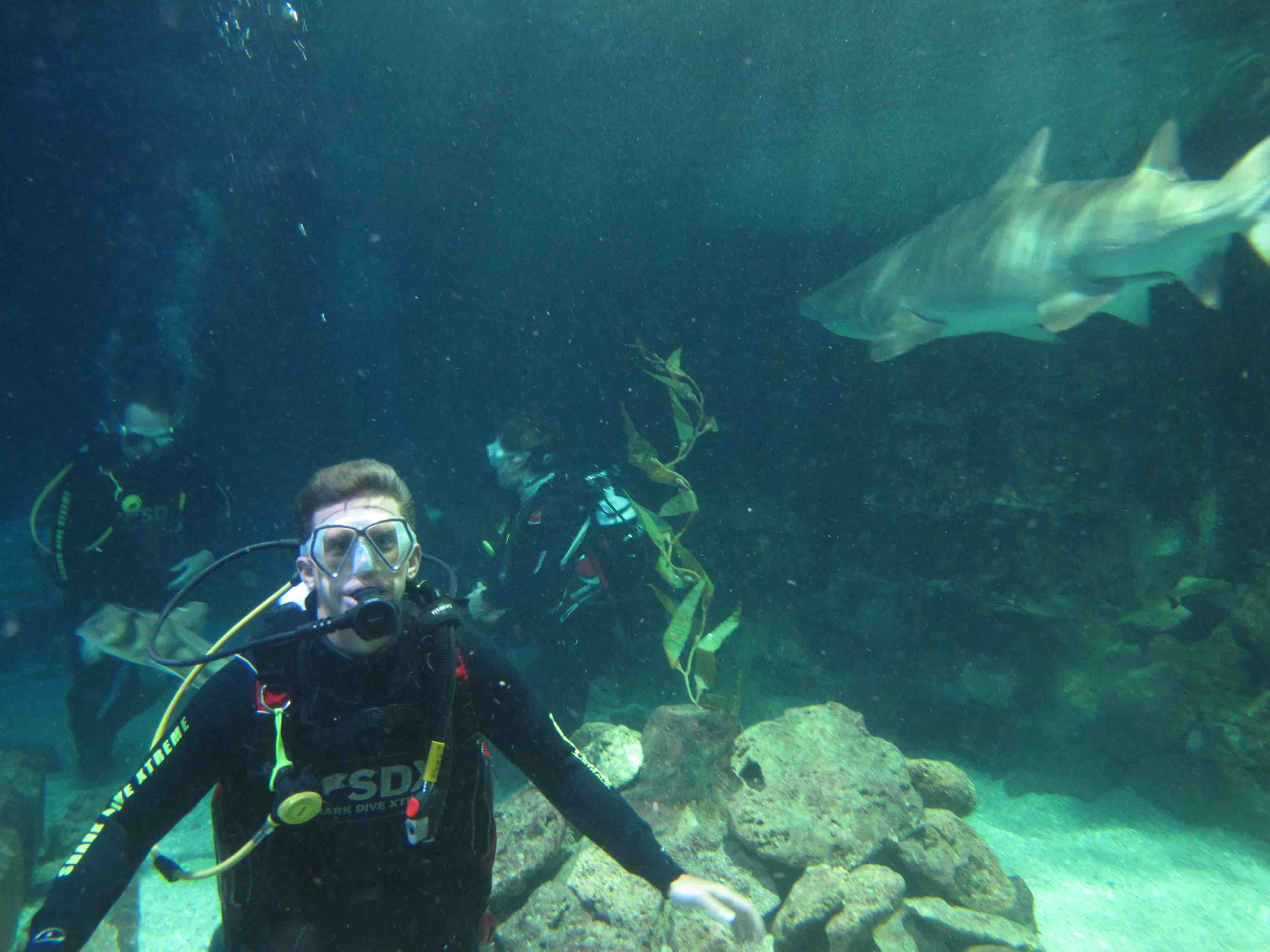 The Best Ways To Conquer Your Fears - RedBalloon Experiences